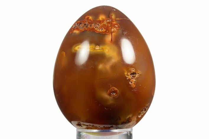 Vibrant Polished Carnelian Agate Egg - Madagascar #331752